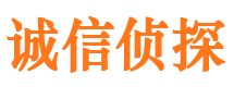 佛冈市调查公司